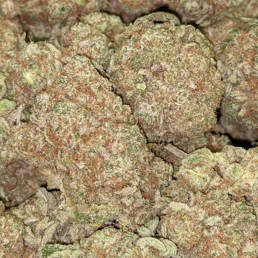 YOGURT AAA 6 I $99 Oz - Yogurt