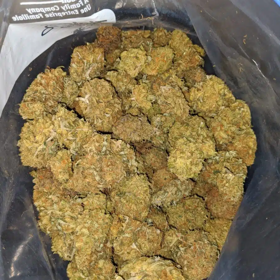 cheap pineapple diesel 1 I Cheap Pineapple Diesel