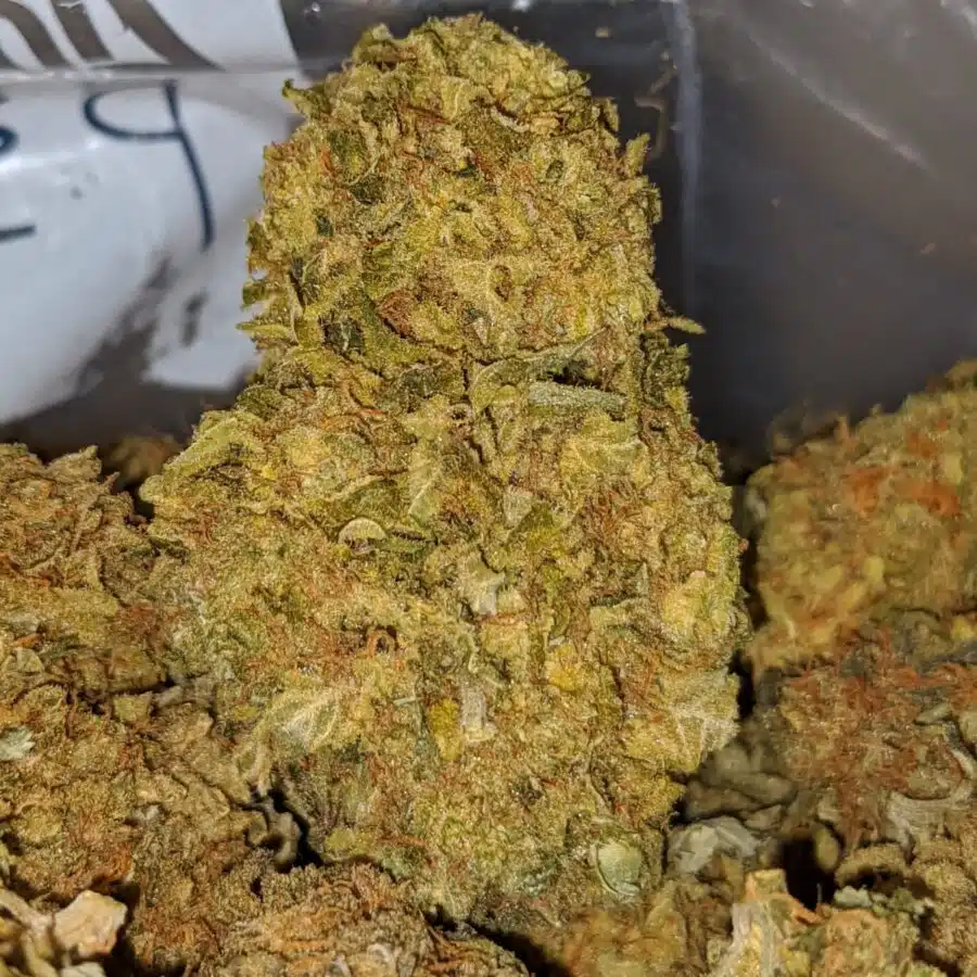 cheap pineapple diesel 2 I Cheap Pineapple Diesel