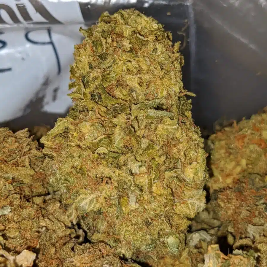 cheap pineapple diesel 3 I Cheap Pineapple Diesel
