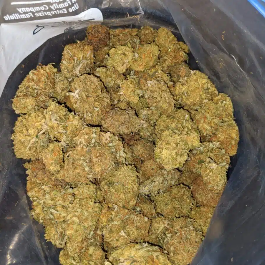 cheap pineapple diesel 4 I Cheap Pineapple Diesel