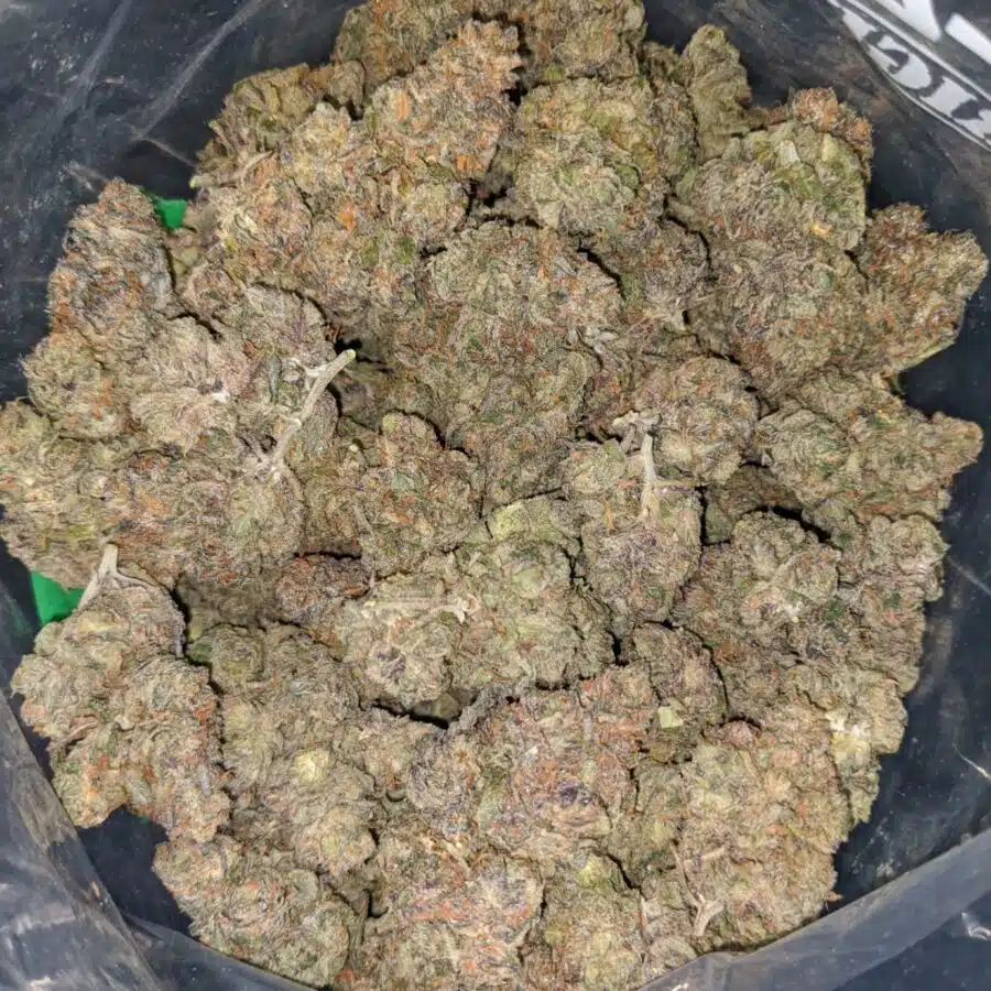 purple jetfuel 1 I Purple Jetfuel