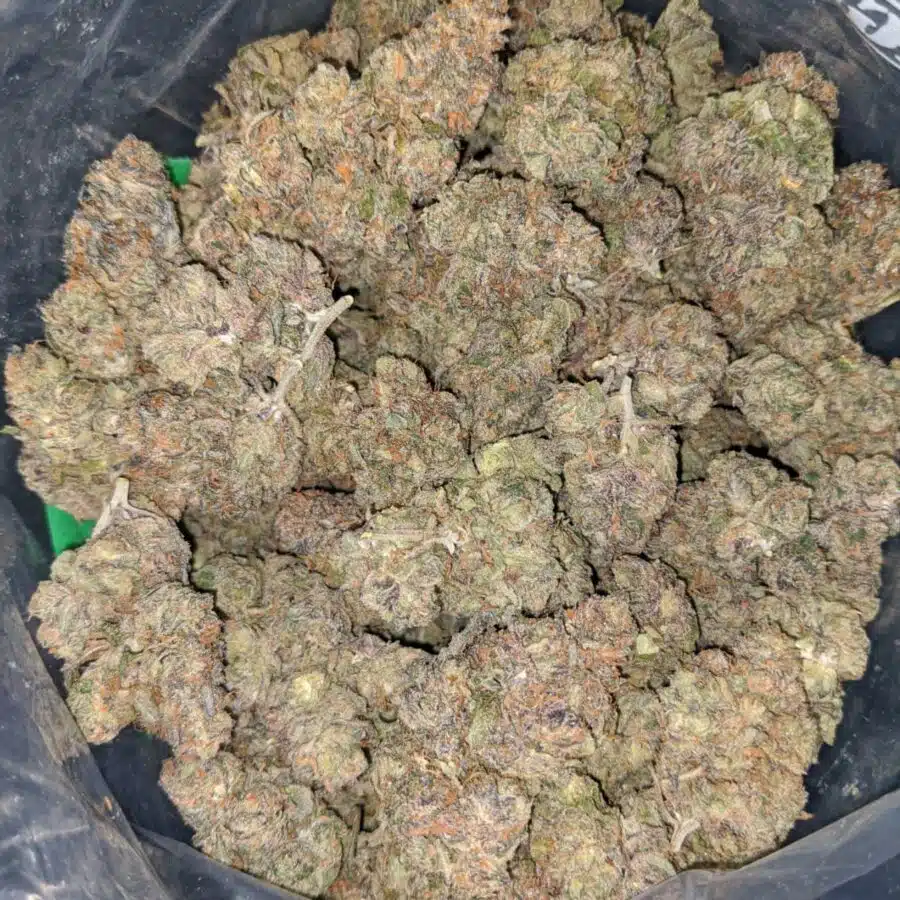 purple jetfuel 2 I Purple Jetfuel