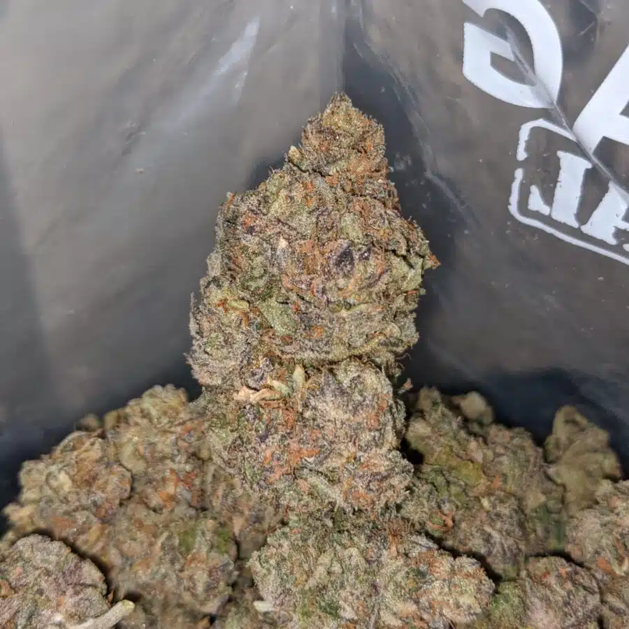 purple jetfuel 3 I Purple Jetfuel