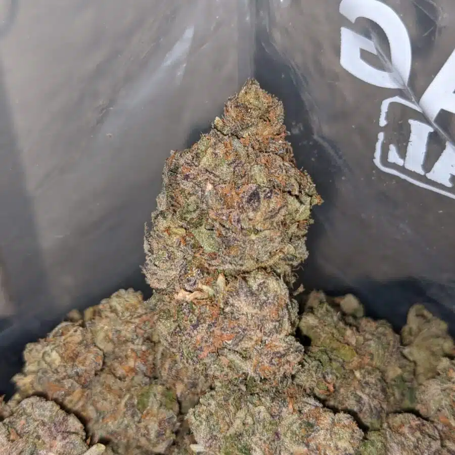 purple jetfuel 4 I Purple Jetfuel
