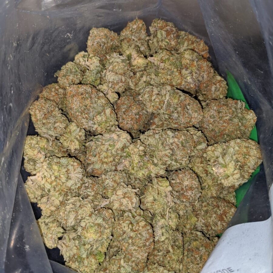 white gas 4 I White Gas
