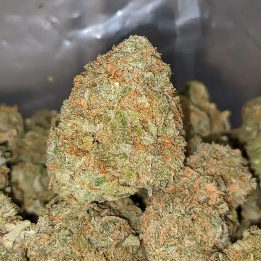 49 scout master cookies 1 I $49 Oz - Scout Master Cookies