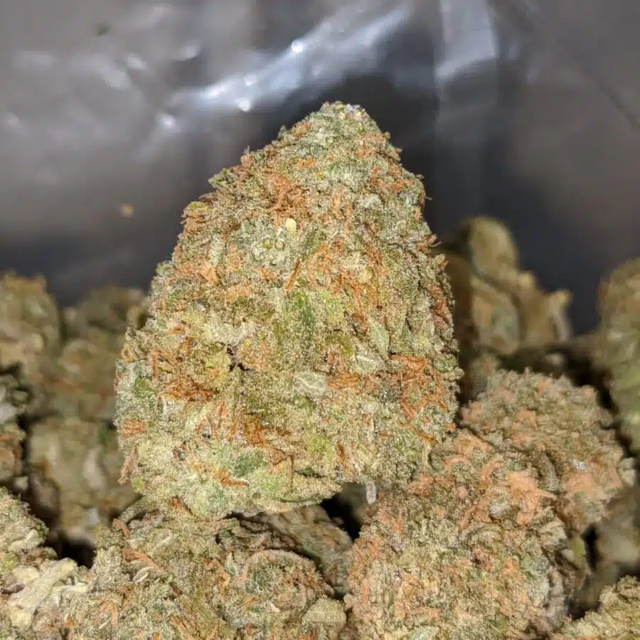 49 scout master cookies 2 I $49 Oz - Scout Master Cookies