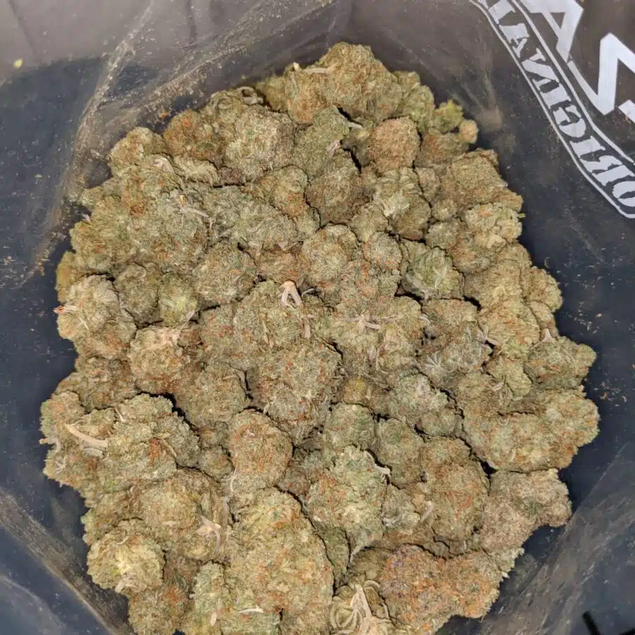 49 scout master cookies 4 I $49 Oz - Scout Master Cookies