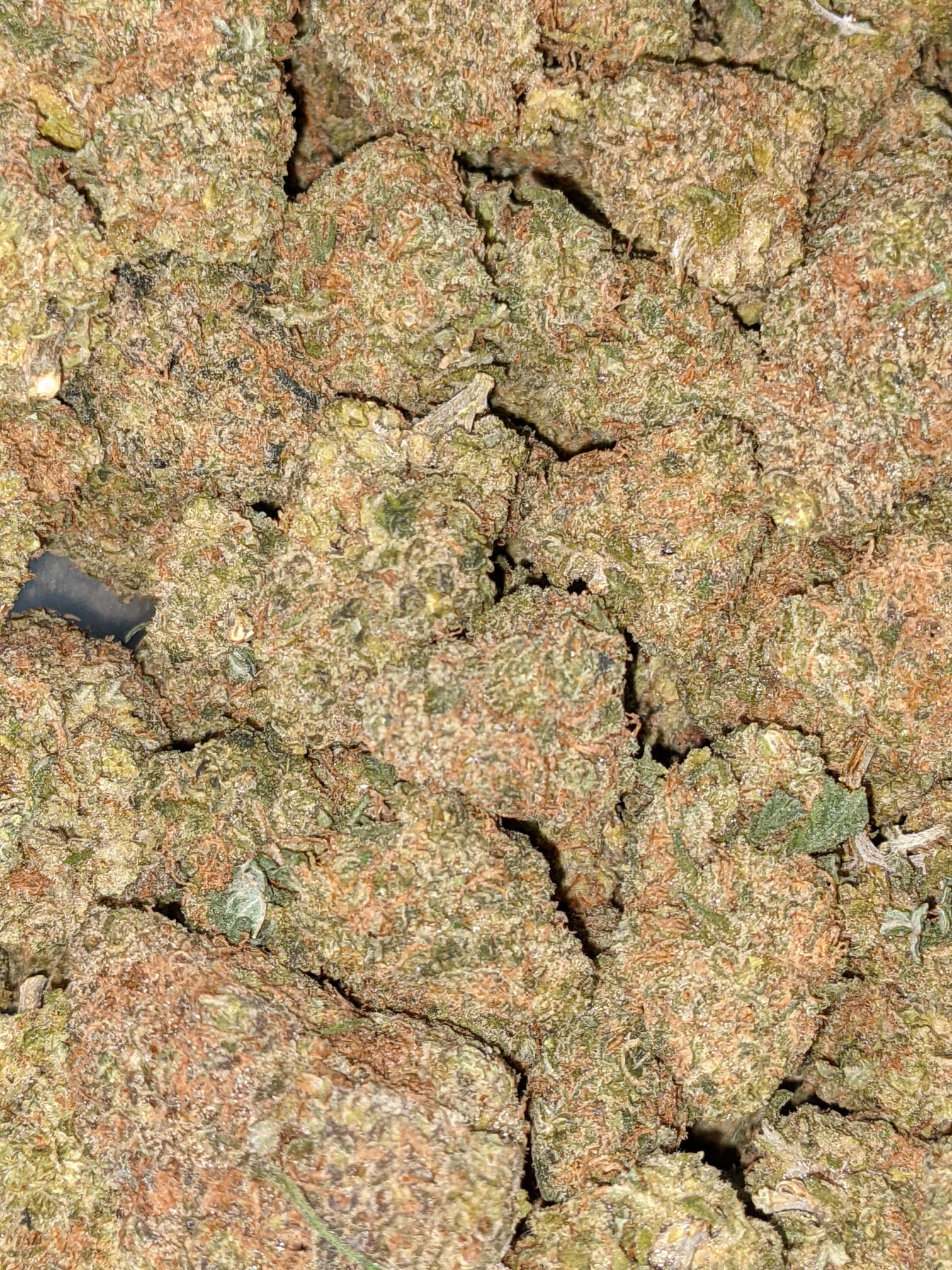 strawberry cough lows
