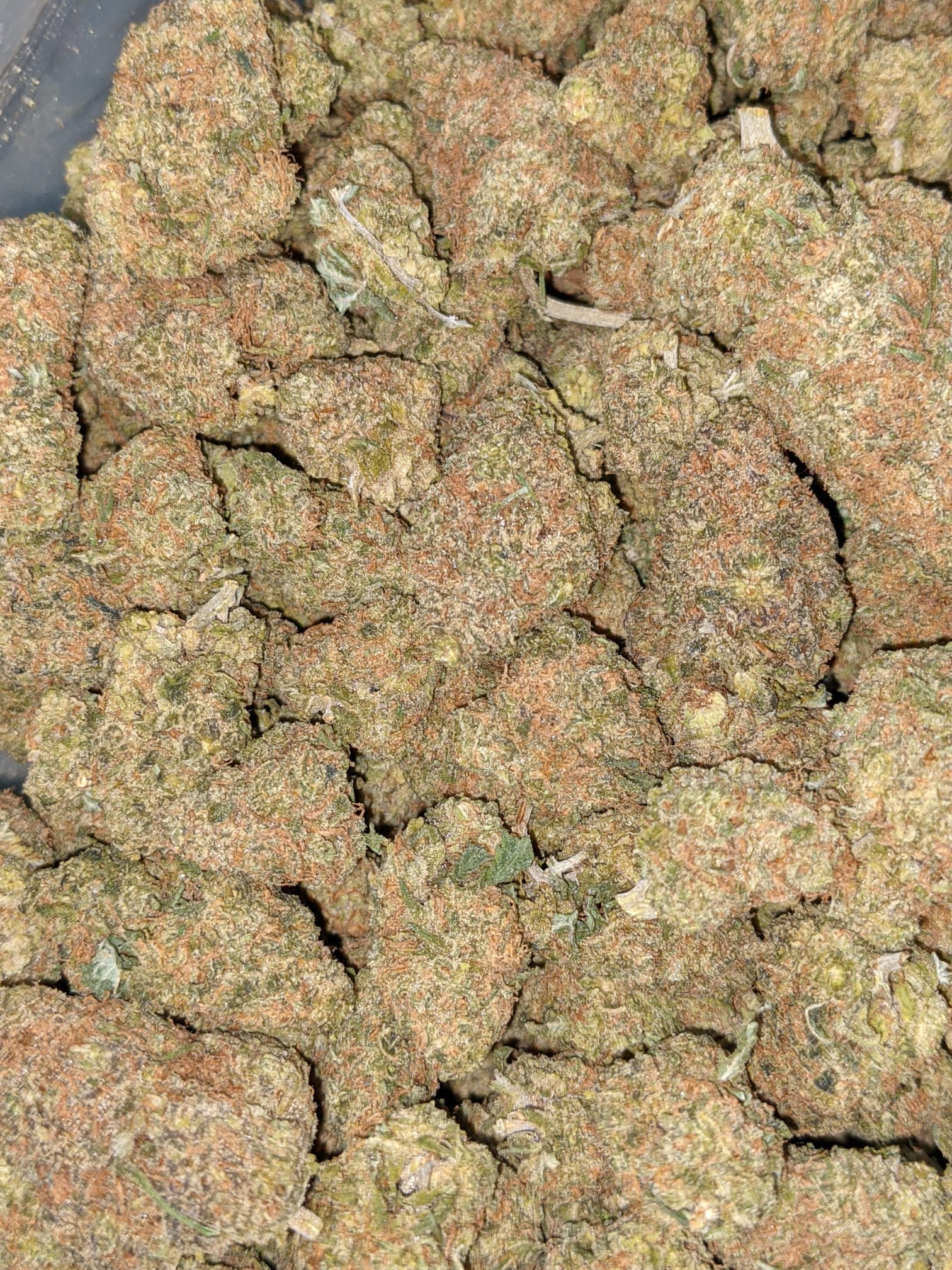 strawberry cough lows