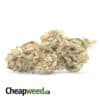 Banana Split Bulk Special