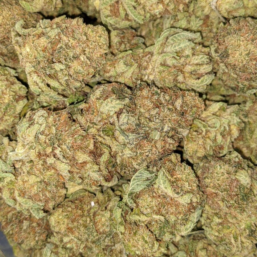 BANANA SPLIT BX 1 I Banana Split Bulk Special