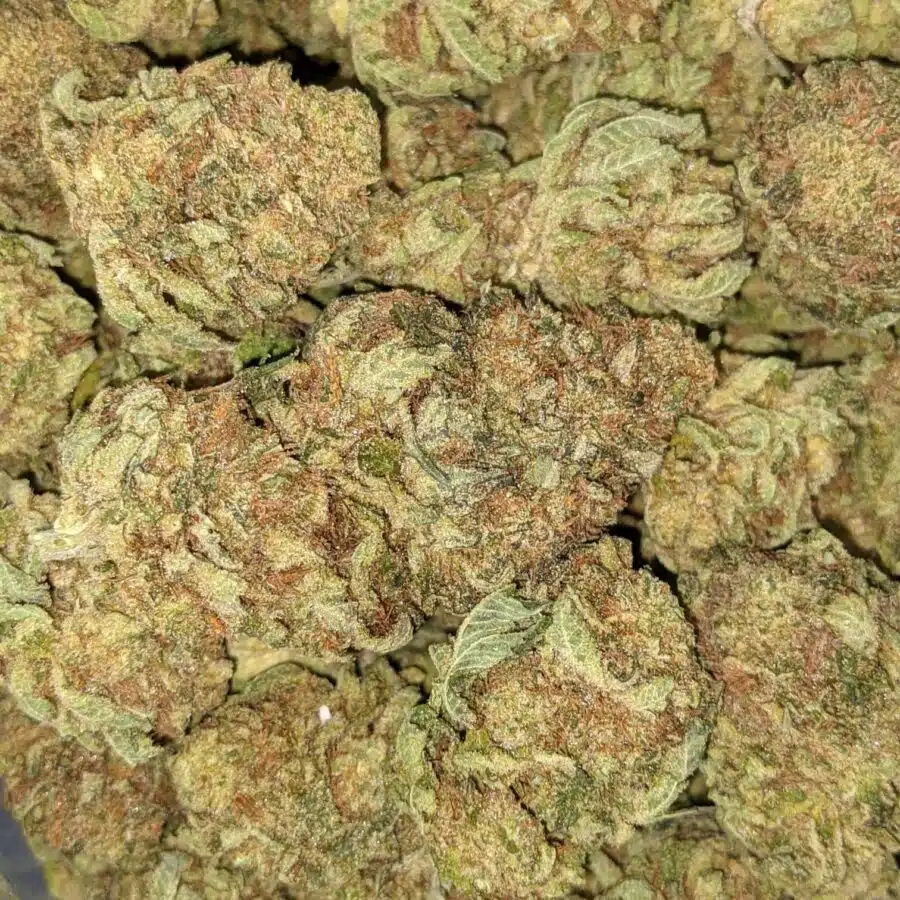 BANANA SPLIT BX 1 I Banana Split Bulk Special