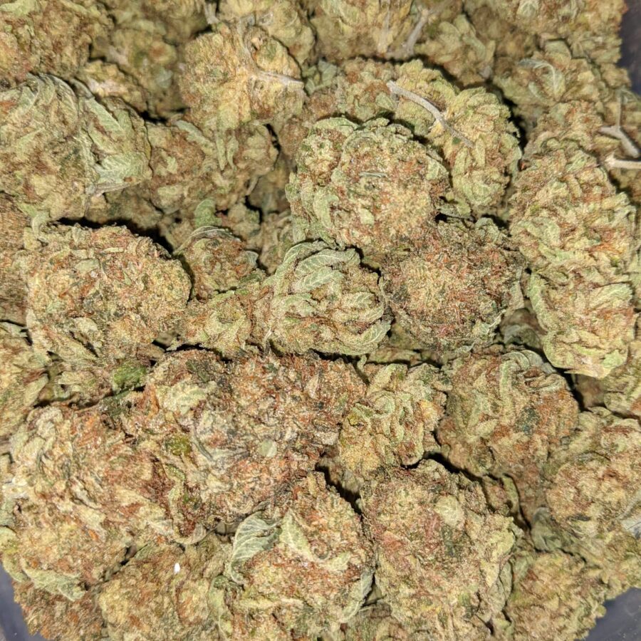 BANANA SPLIT BX 4 I Banana Split Bulk Special