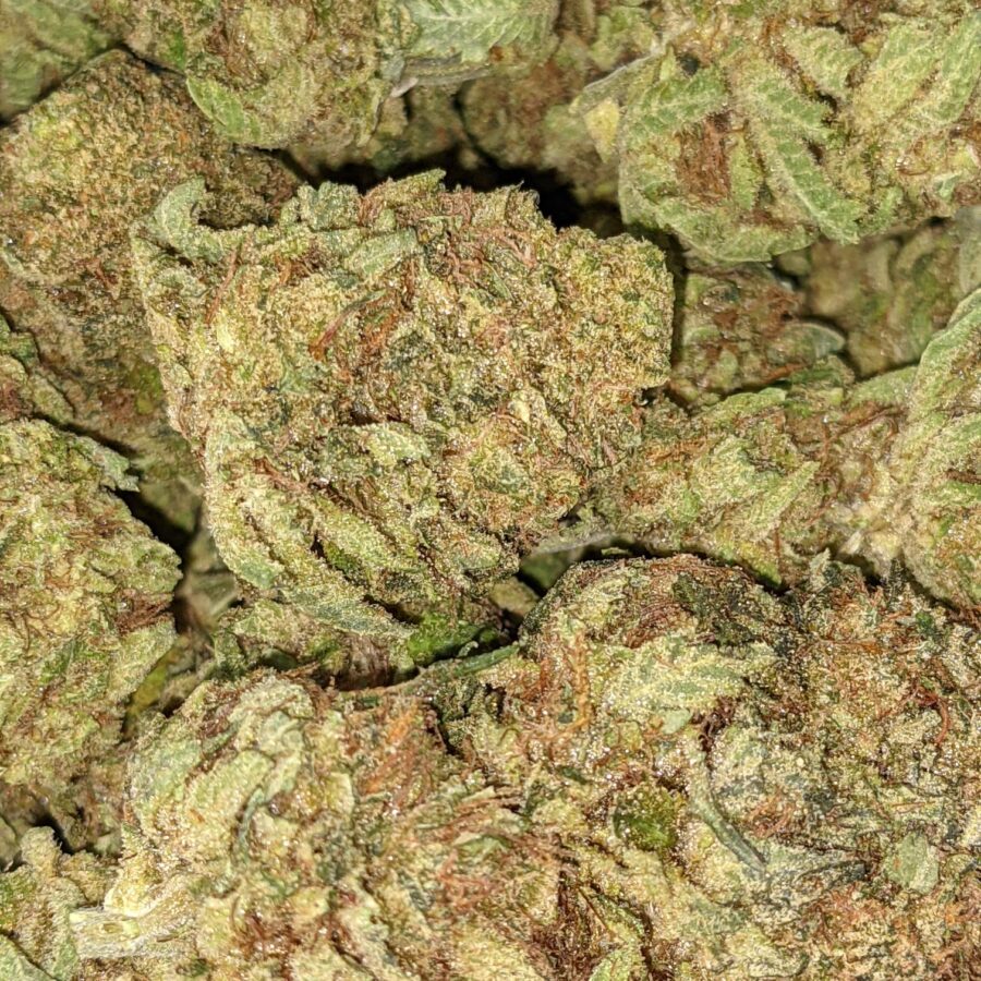 BANANA SPLIT BX 5 I Banana Split Bulk Special