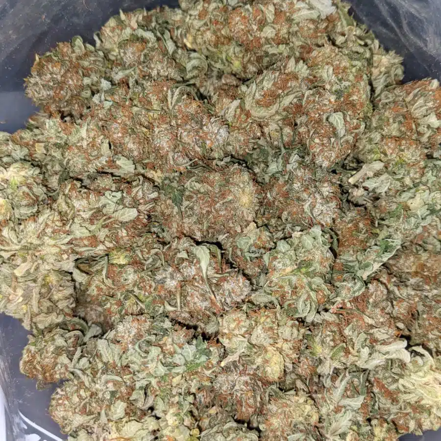 BC BIG BUD BULK SPECIAL 5 I $59 Oz - BC Big Bud