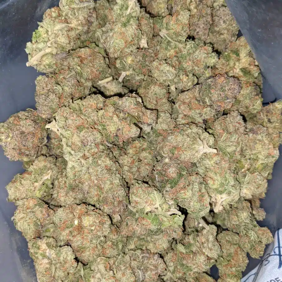 COSMO KUSH 1 I Cosmo Kush Bulk Special