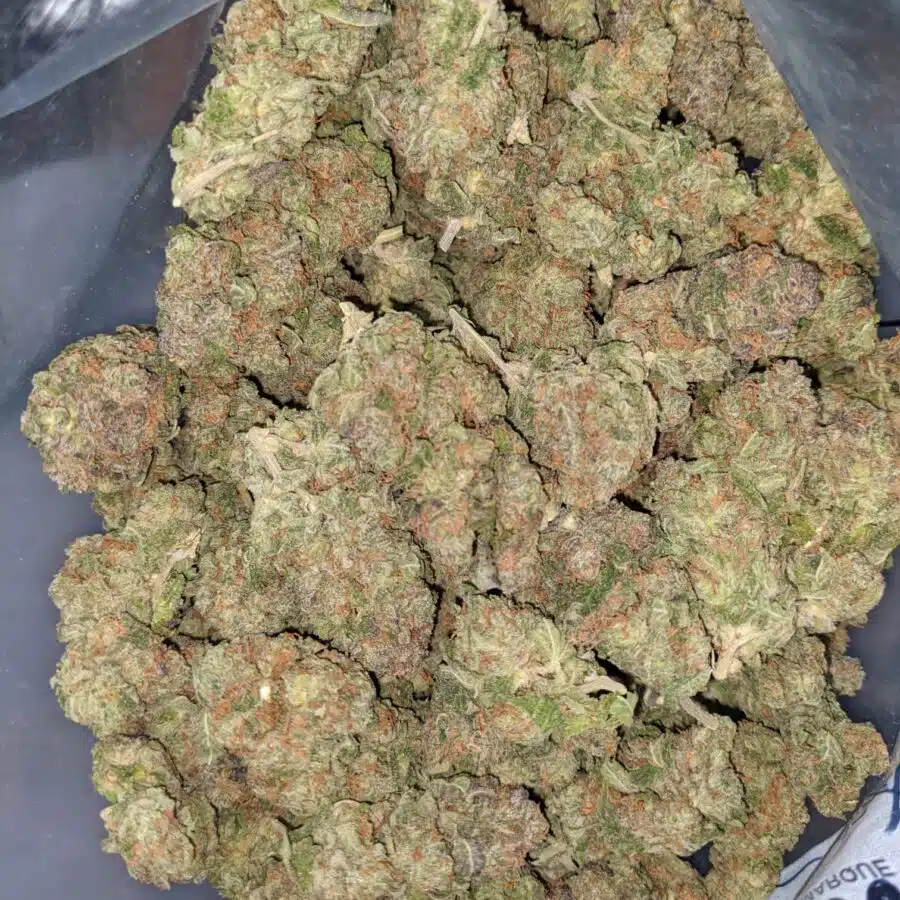 COSMO KUSH 3 I Cosmo Kush Bulk Special