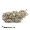 Cosmo Kush Bulk Special