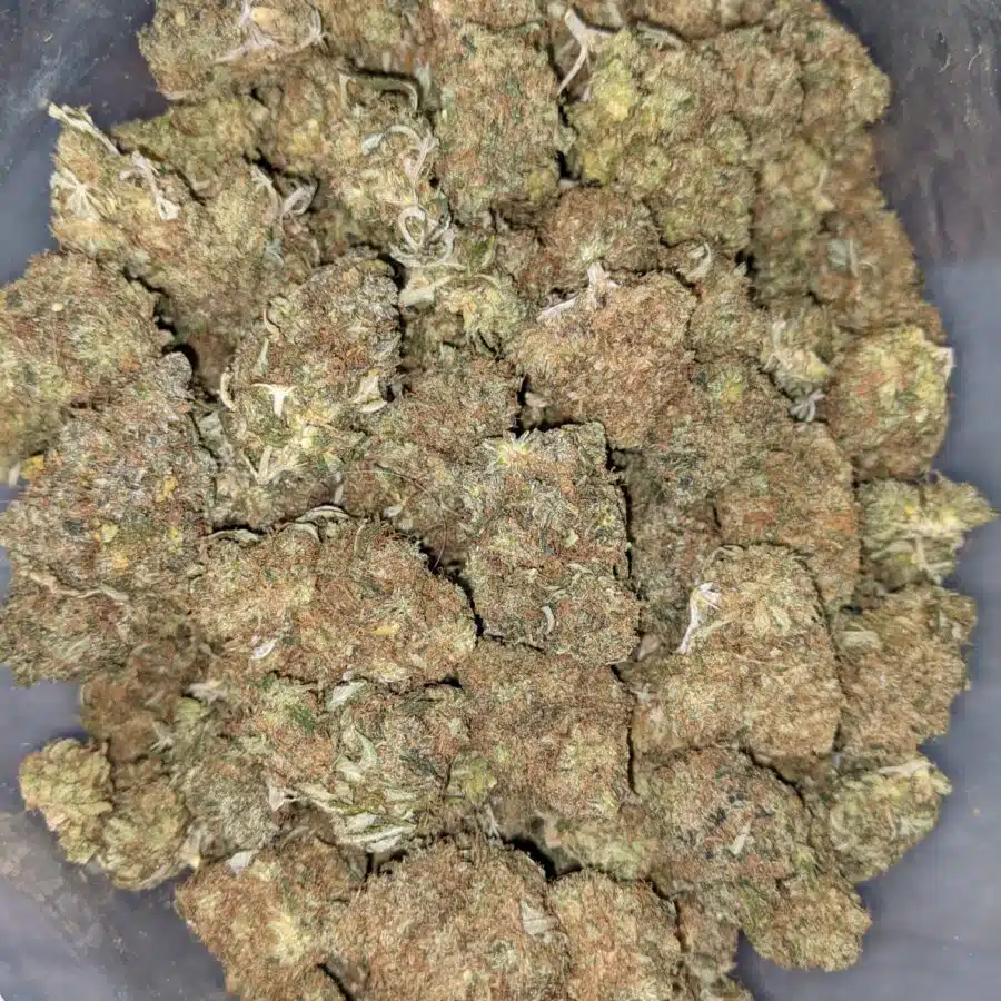 FIRE OG BULK SPECIAL 3 I Fire OG Bulk Special