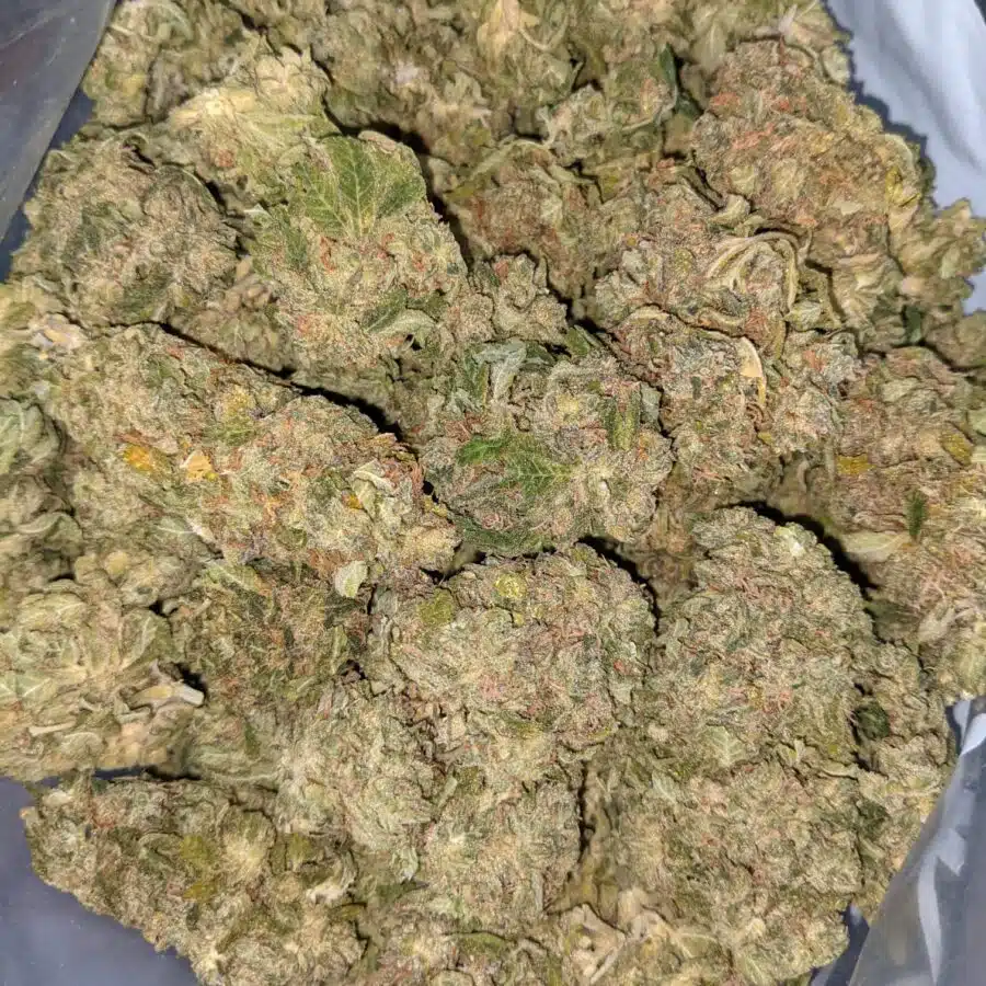 INCREDIBLE BULK SPEC 2 I $59 Oz - Incredible Kush