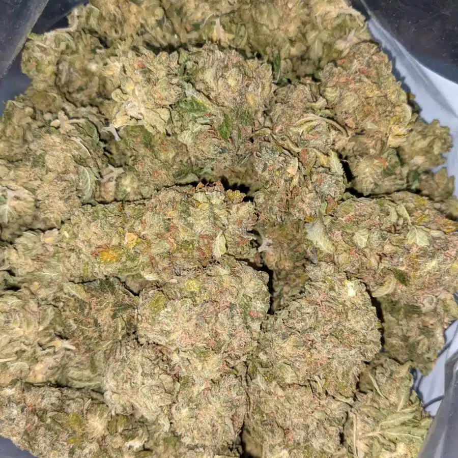 INCREDIBLE BULK SPEC 4 I $59 Oz - Incredible Kush