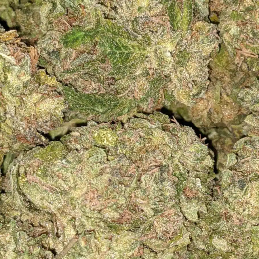 Alternative view of $59 Oz - Incredible Kush