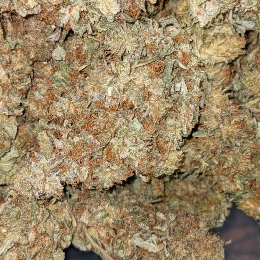 Incredible AA 2 I INCREDIBLE AA+ BULK SPECIAL