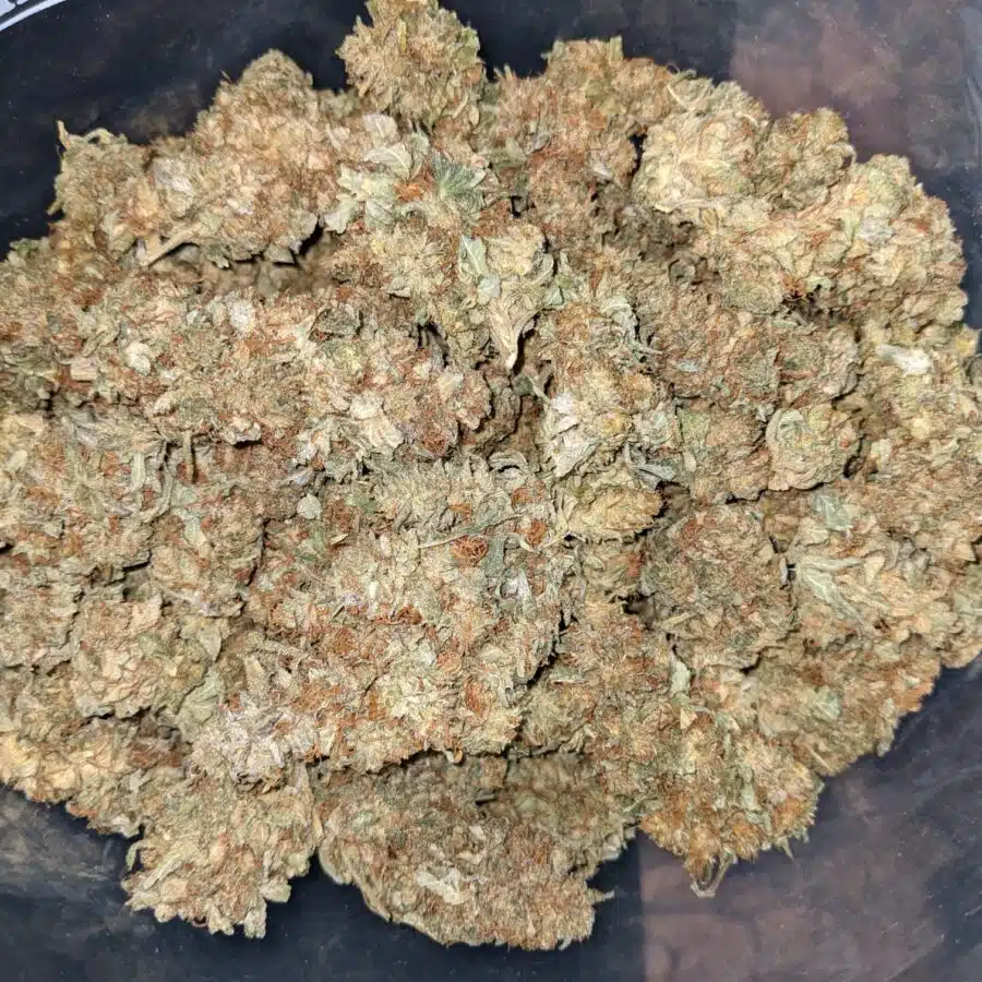 Incredible AA 3 I INCREDIBLE AA+ BULK SPECIAL