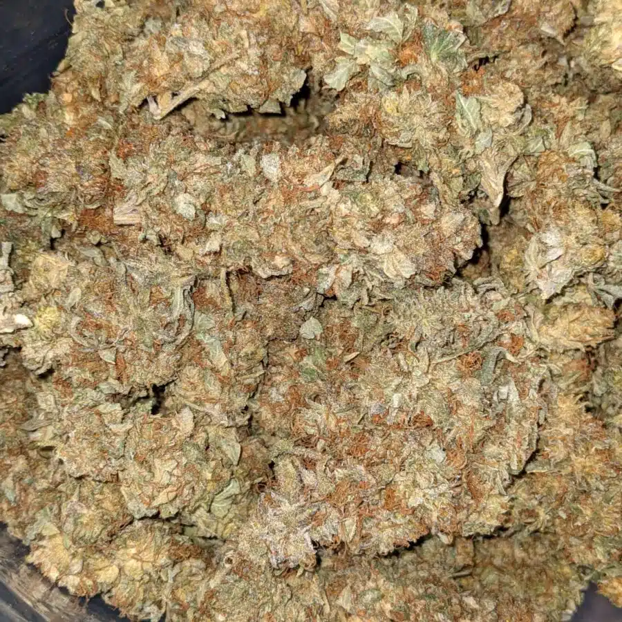 Incredible AA 4 I INCREDIBLE AA+ BULK SPECIAL
