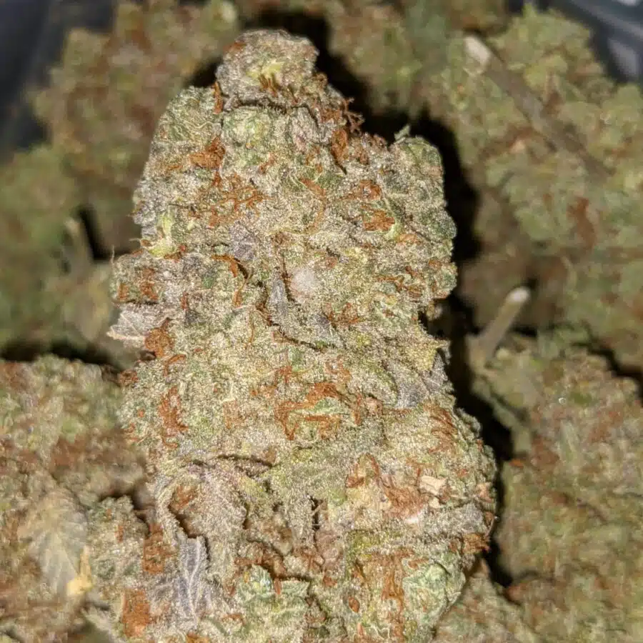 KALI MIST DOD 1 I $59oz - Kali Mist