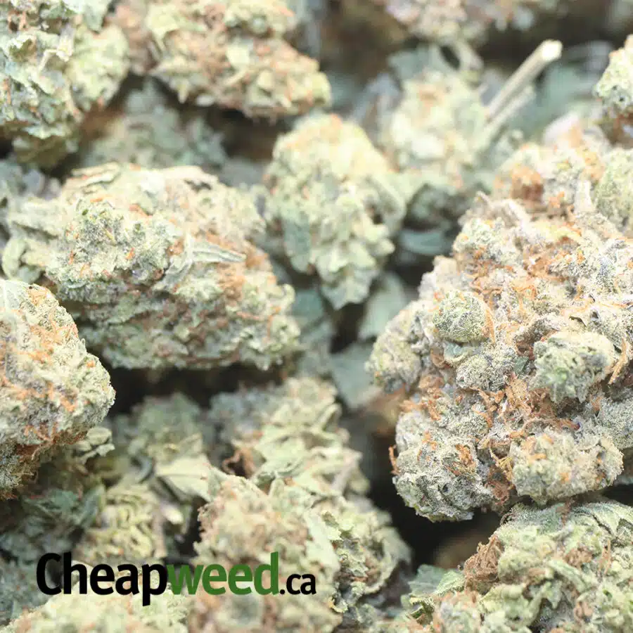 KALI MIST DOD 2 1 I $59oz - Kali Mist