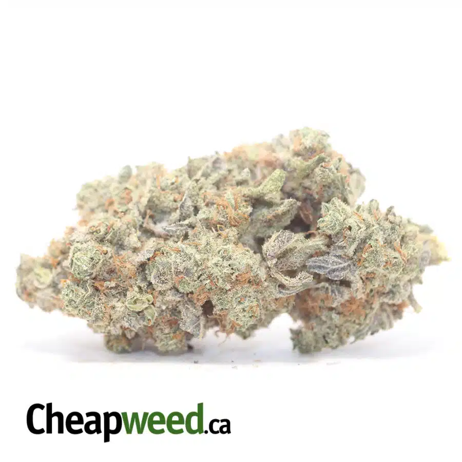 $59oz - Kali Mist