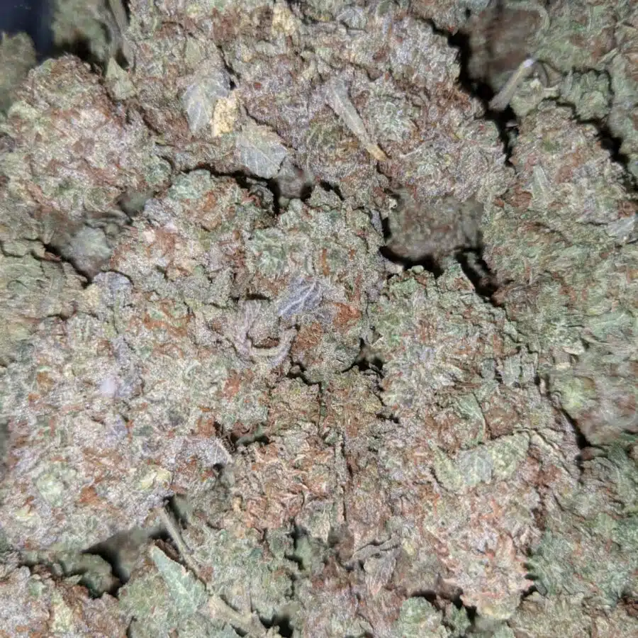 KALI MIST DOD 3 I $59oz - Kali Mist