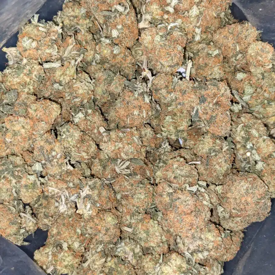 KUBBIE KUSH 1 I $66 Oz - Kubbie Kush