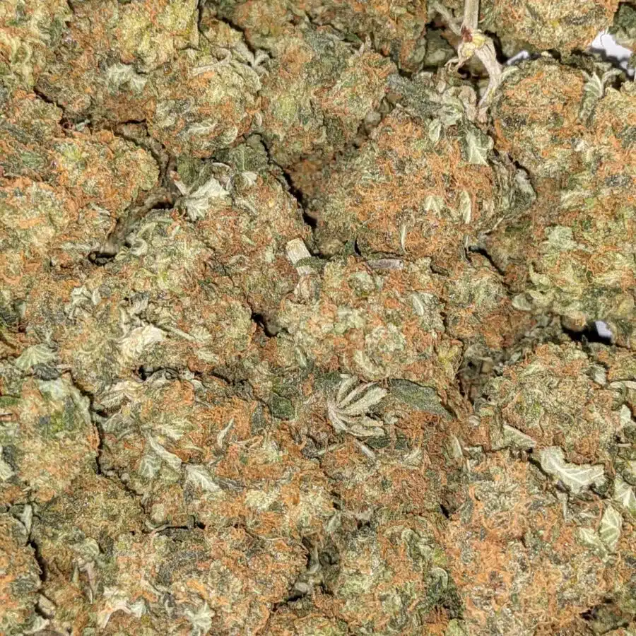 KUBBIE KUSH 2 I $66 Oz - Kubbie Kush