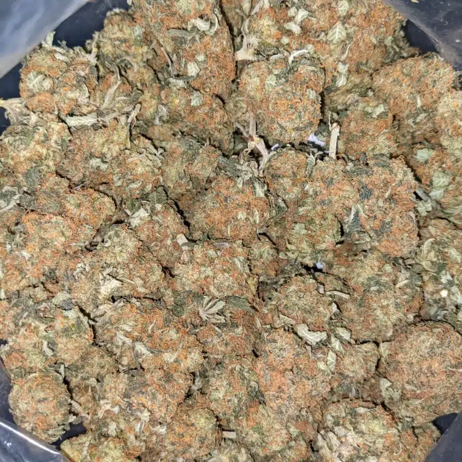 KUBBIE KUSH 3 I $66 Oz - Kubbie Kush