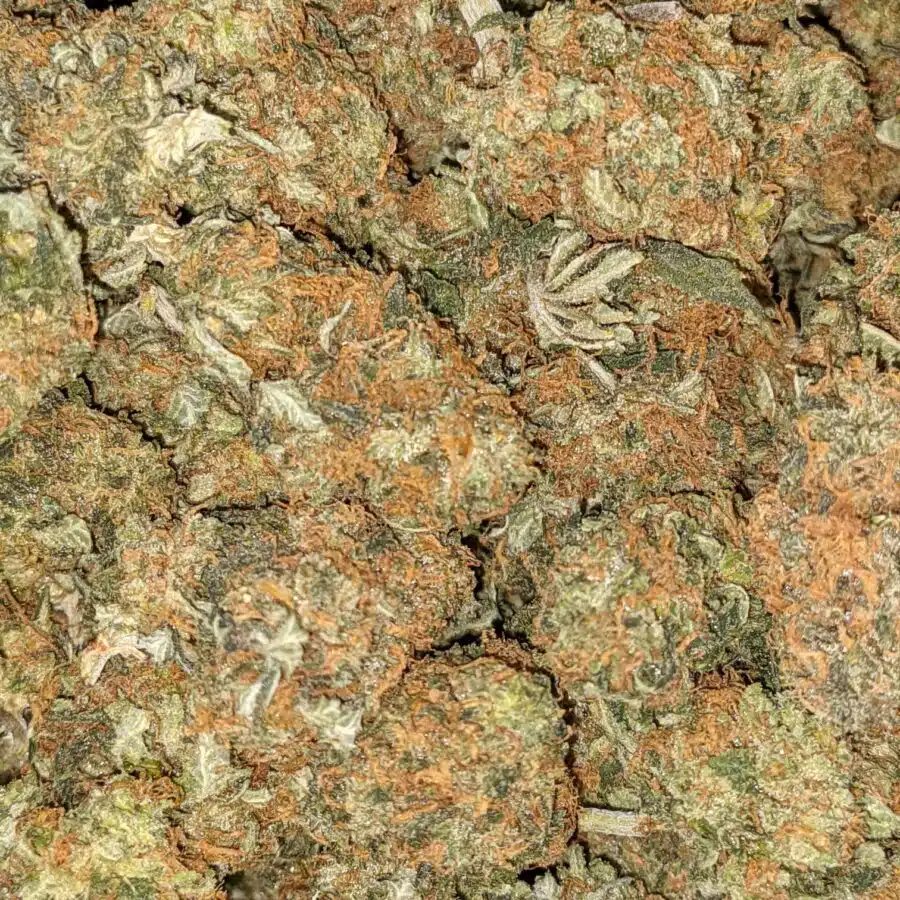 $66 Oz - Kubbie Kush
