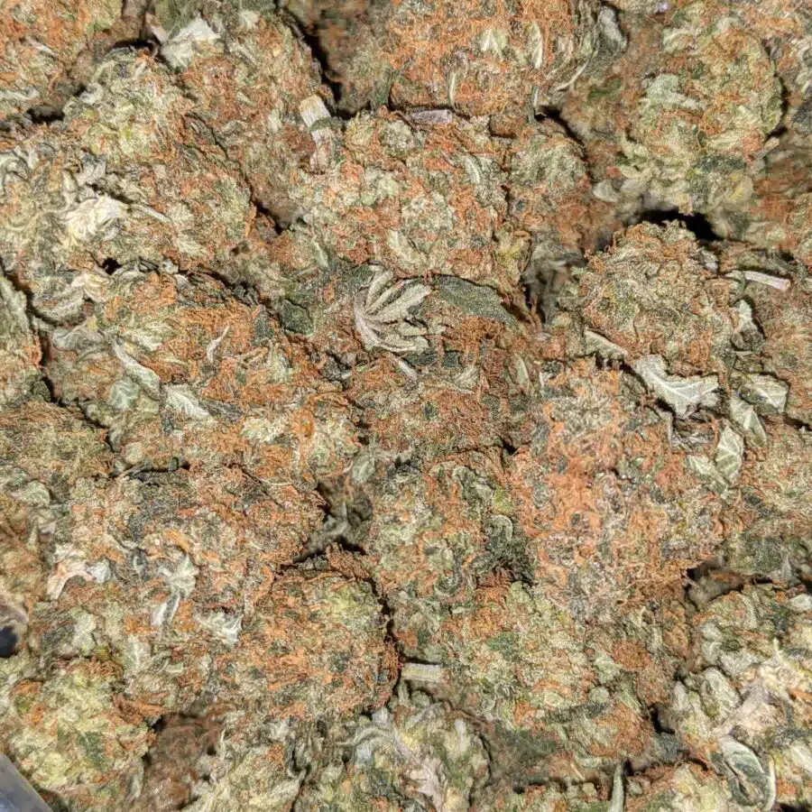 Alternative view of $66 Oz - Kubbie Kush