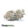La Kush Cakes AAAA+