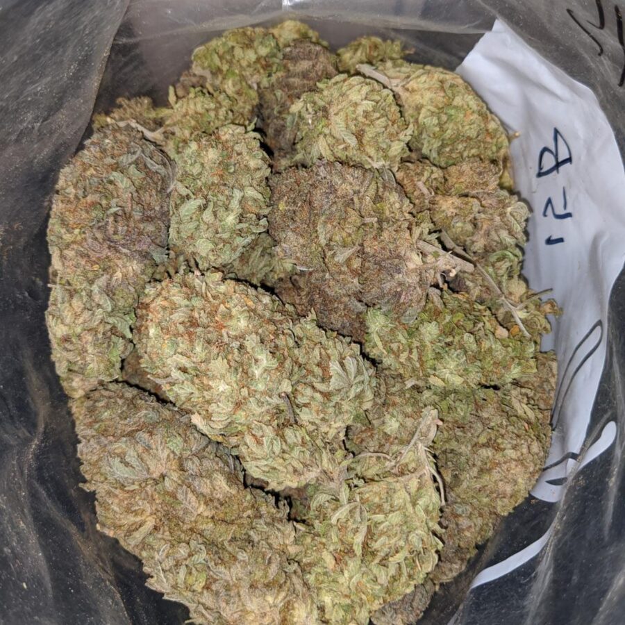 LAUGHING BUDDHA BS 3 I Laughing Buddha Bulk Special