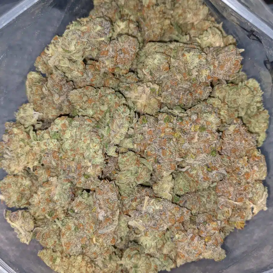 LSD AAA 1 I LSD AAA+