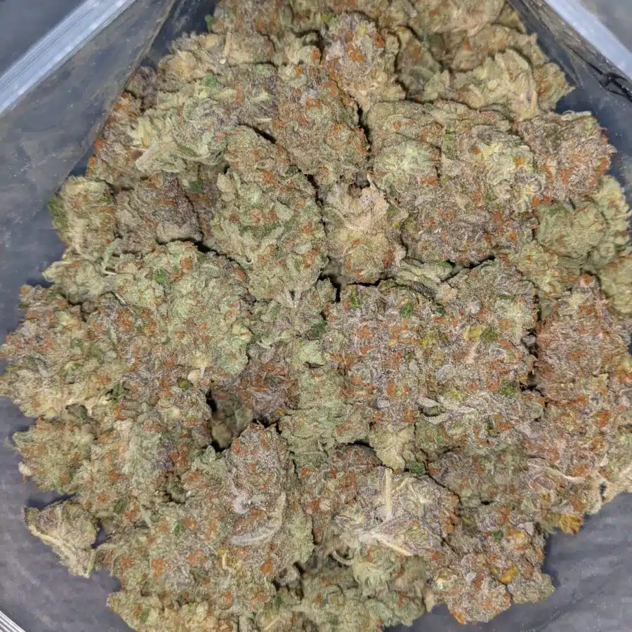 LSD AAA 2 I LSD AAA+