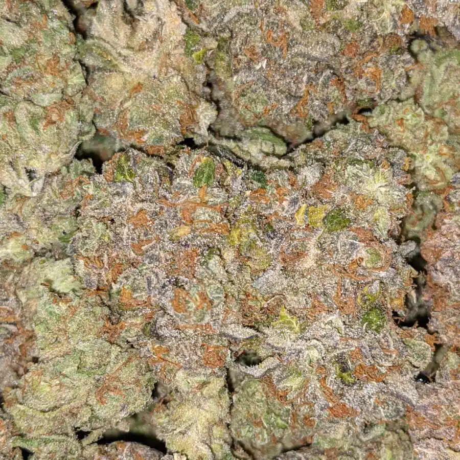 LSD AAA 3 I LSD AAA+