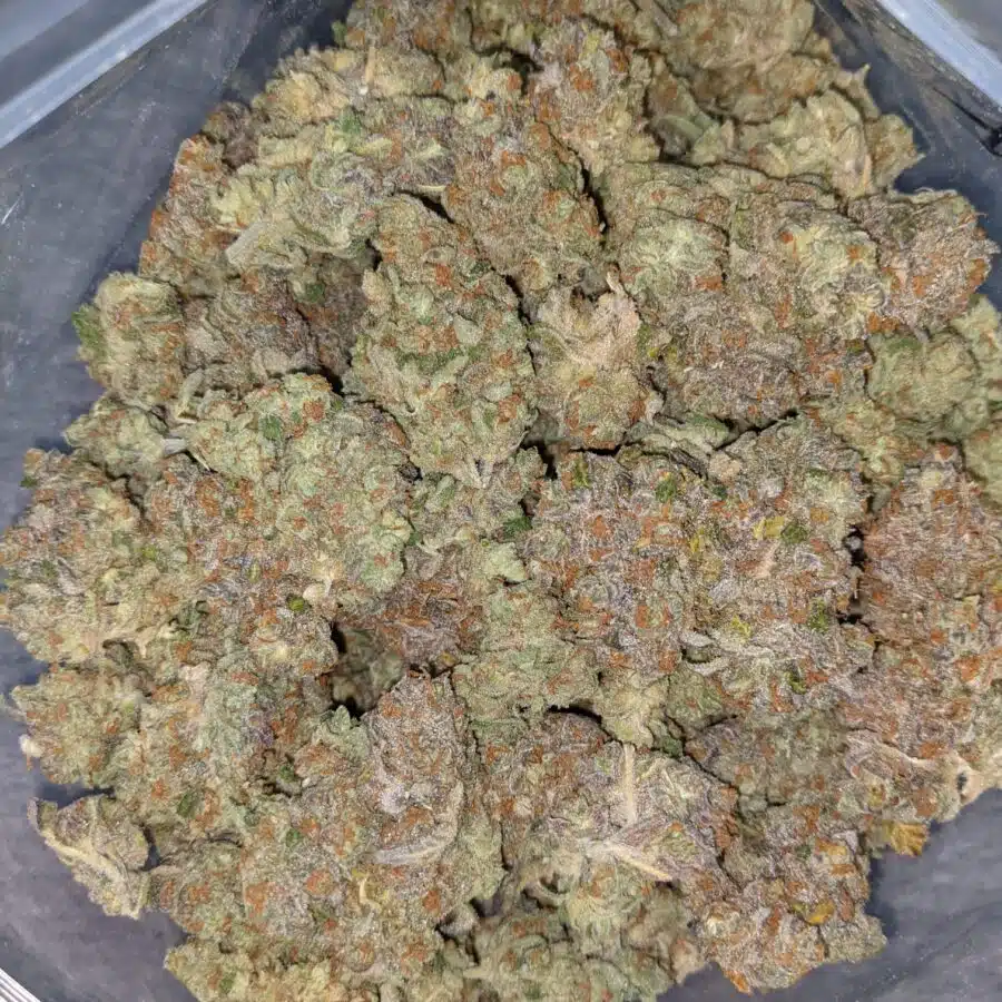 LSD AAA 4 I LSD AAA+