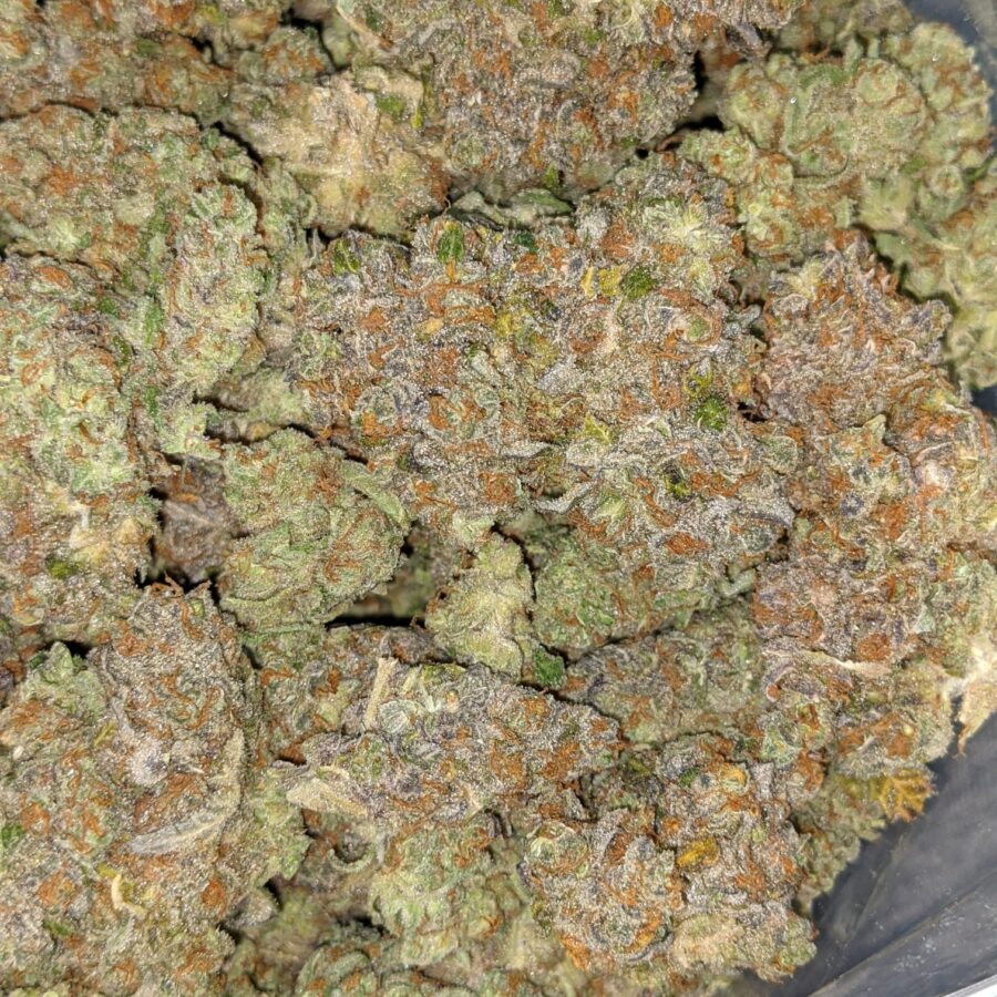 LSD AAA 5 I LSD AAA+