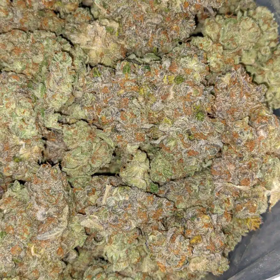 LSD AAA 5 I LSD AAA+