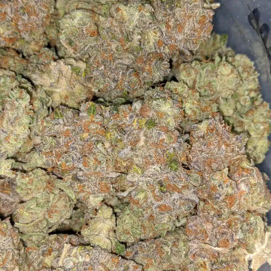 LSD AAA 6 I LSD AAA+