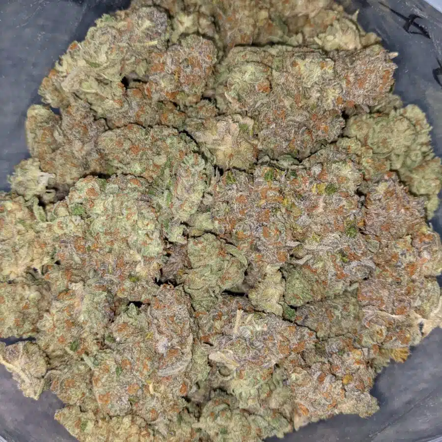 LSD AAA 7 I LSD AAA+